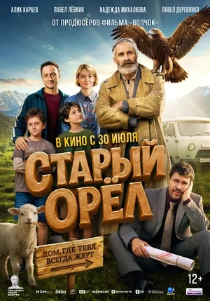 Сведения об участниках